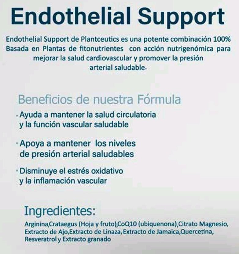 Endothelial Support - SALUD CARDIOVASCULAR Y PRESIÓN ARTERIAL 90 capsulas | PLANTCEUTICS -
