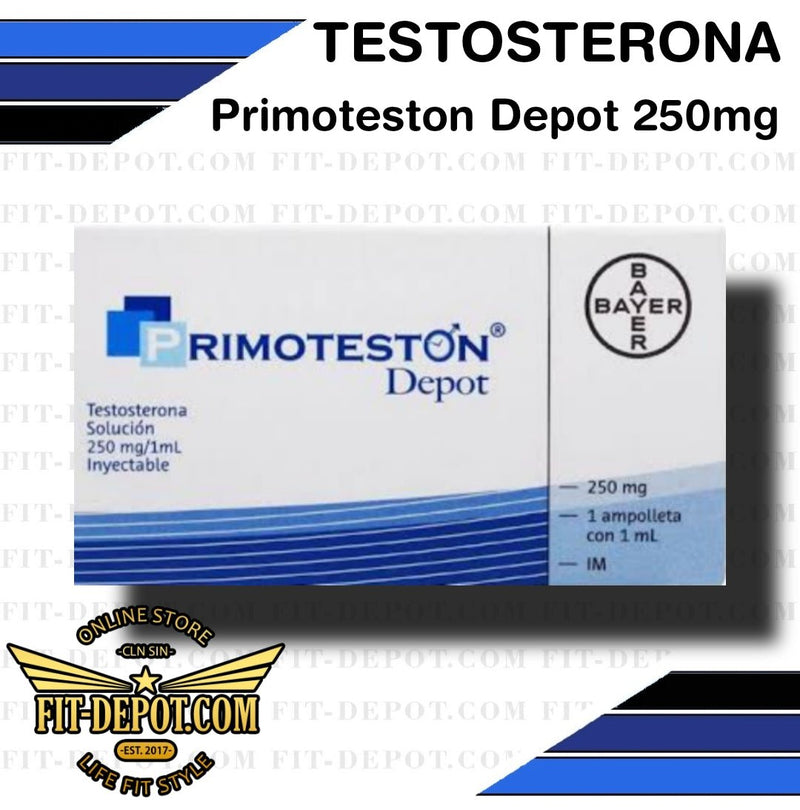 PRIMOTESTON DEPOT 250 - Testosterona 250 mg / 1 ampolleta de 1 ml / BAYER - farmacia
