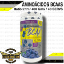 BCAAS 2:1:1 - 400 Gramos / 40 Servicios - suplementos basicos