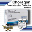 CHORAGON Gonadotropina-corionica Humana HCG 10000 UI - FERRIG - esteroide