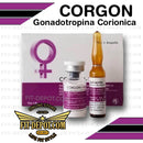 CORGON HCG 10,000 UI / GONADOROPINA CORIONICA - esteroide