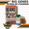 EUTROPEN BIG GENES 45 UI / Calidad Farmaceutica -