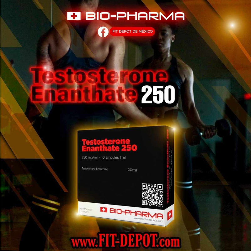 Testosterona Enantato 250 mg/ml |10 ampolletas de 1ml | BIOPHARMA - esteroides
